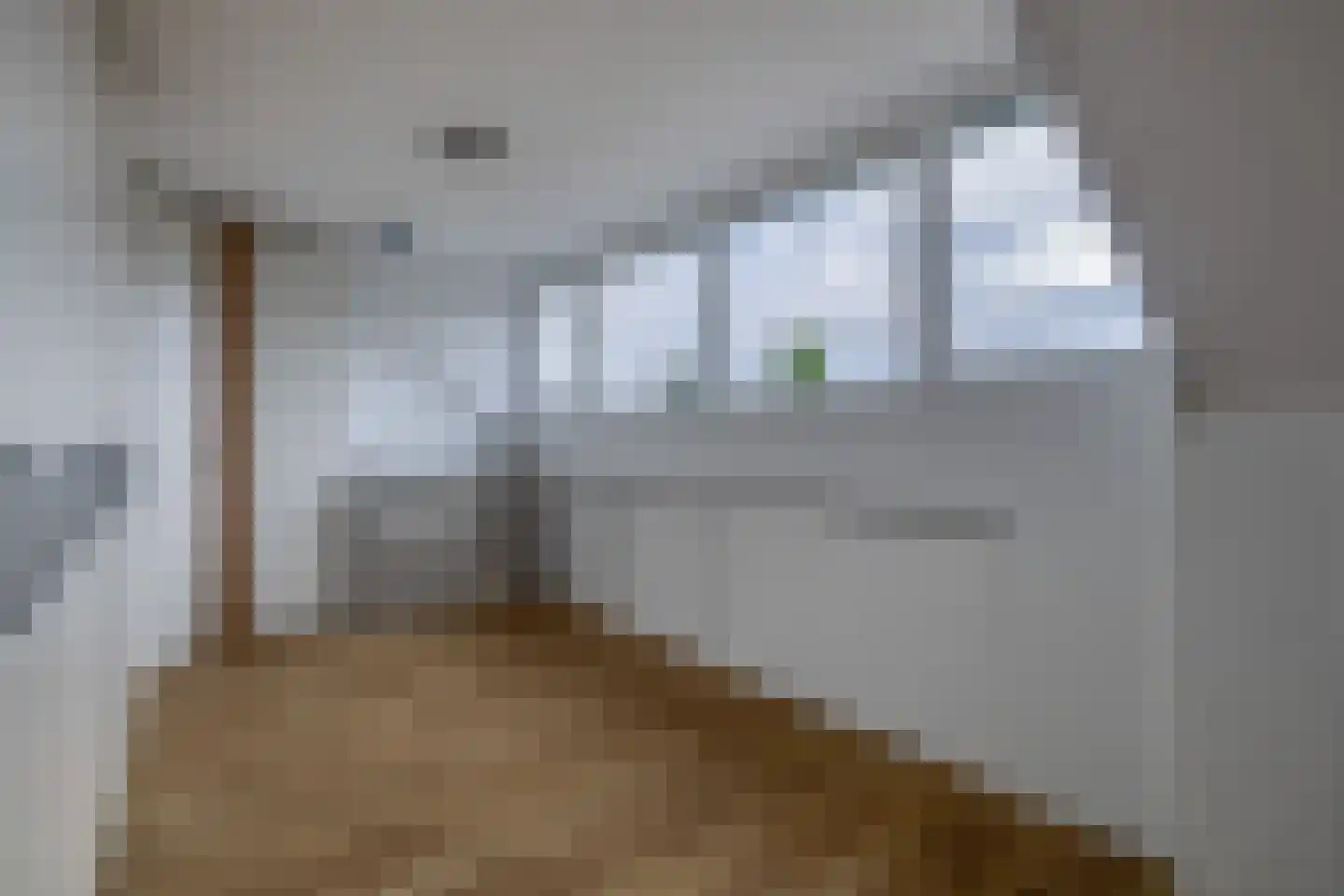 Brahmsstraat 117 Capelle aan den IJssel thumbnail 26