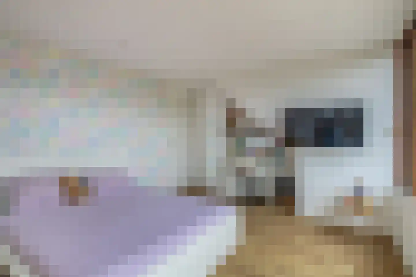 Brahmsstraat 117 Capelle aan den IJssel thumbnail 28