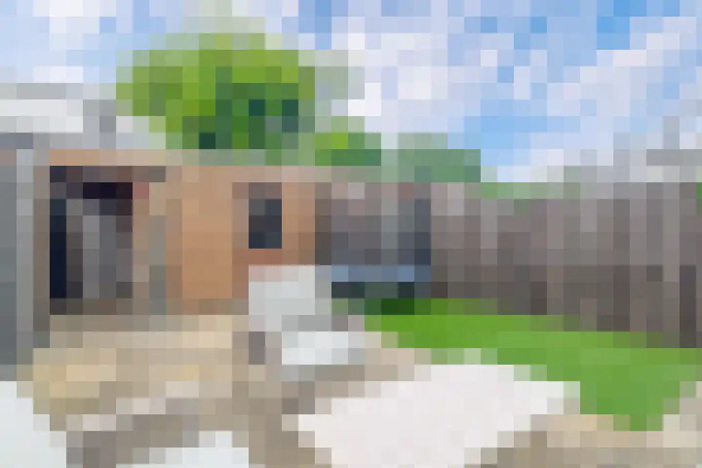 Brahmsstraat 117 Capelle aan den IJssel thumbnail 30