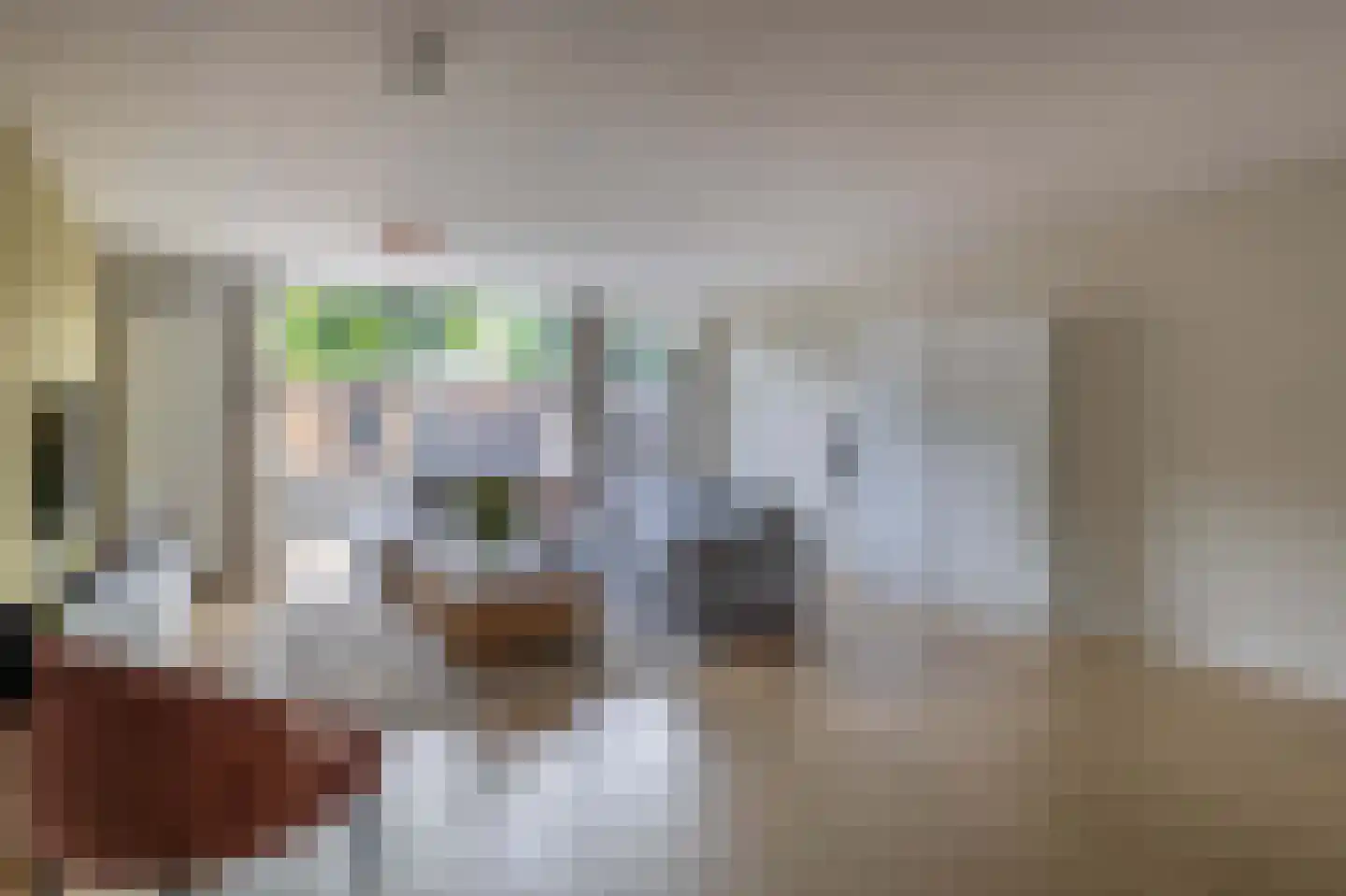 Brahmsstraat 117 Capelle aan den IJssel thumbnail 8