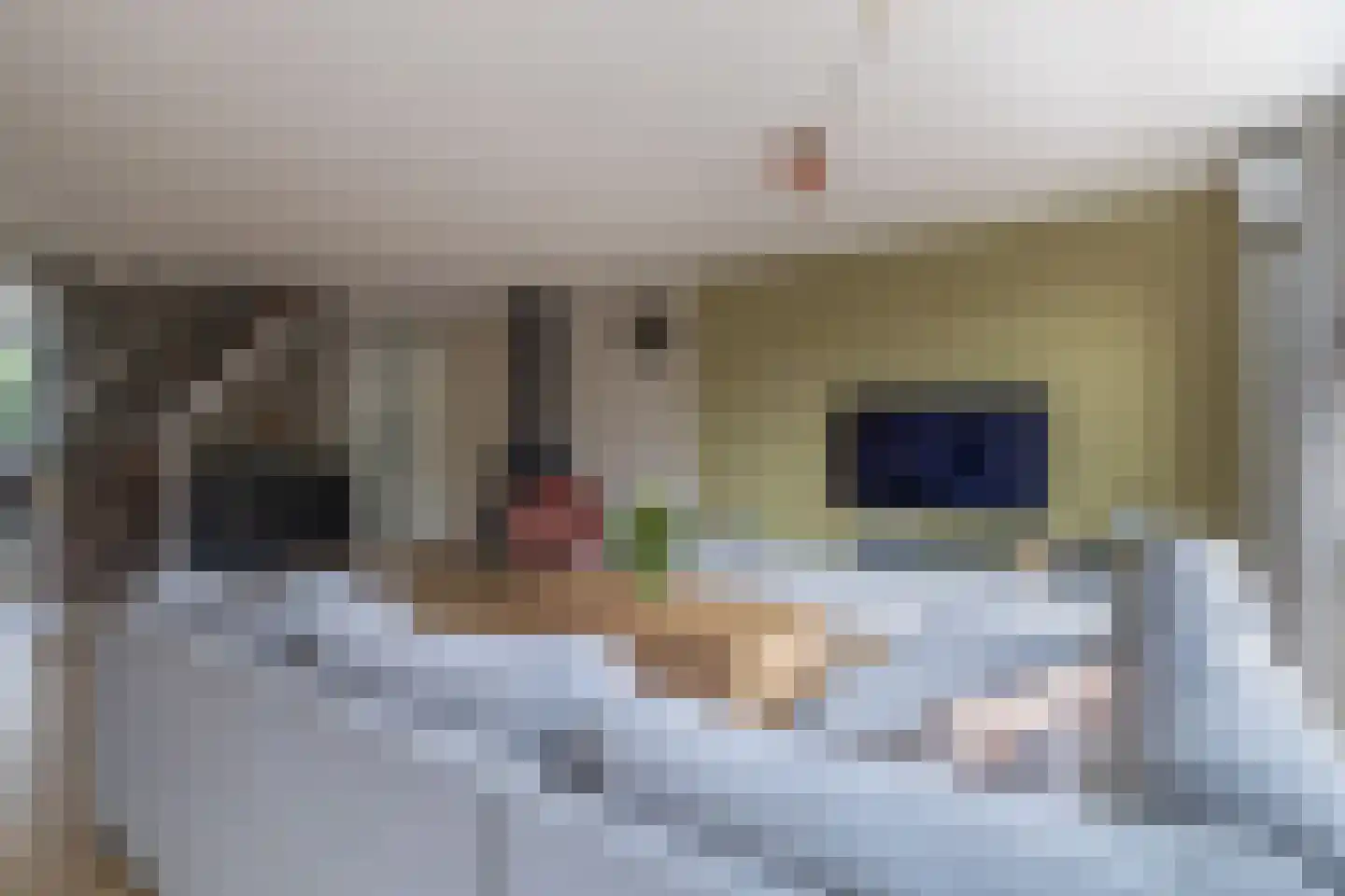 Brahmsstraat 117 Capelle aan den IJssel thumbnail 9