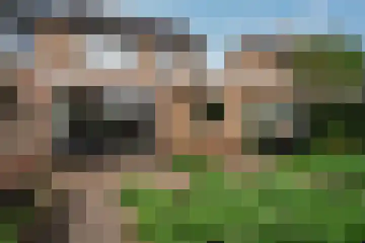 Brahmsstraat 12 Zevenaar thumbnail 19