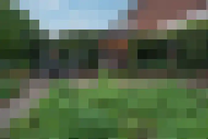Brahmsstraat 12 Zevenaar thumbnail 21