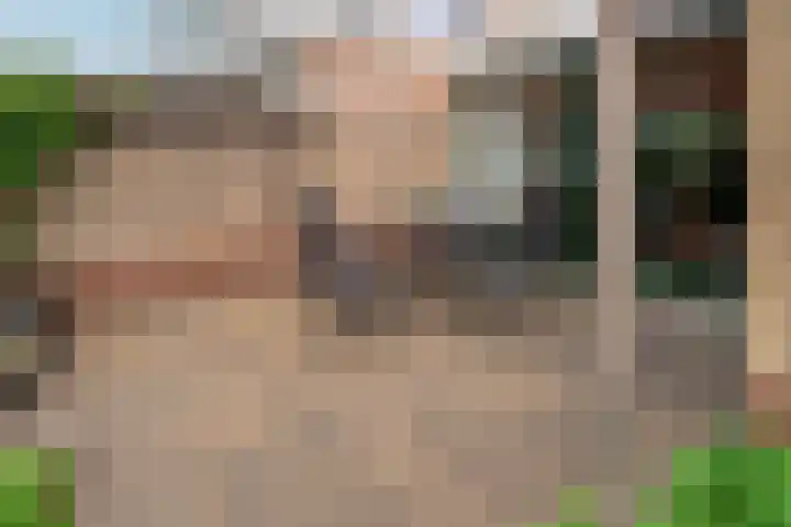 Brahmsstraat 12 Zevenaar thumbnail 22