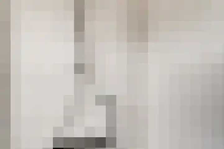 Brahmsstraat 12 Zevenaar thumbnail 30