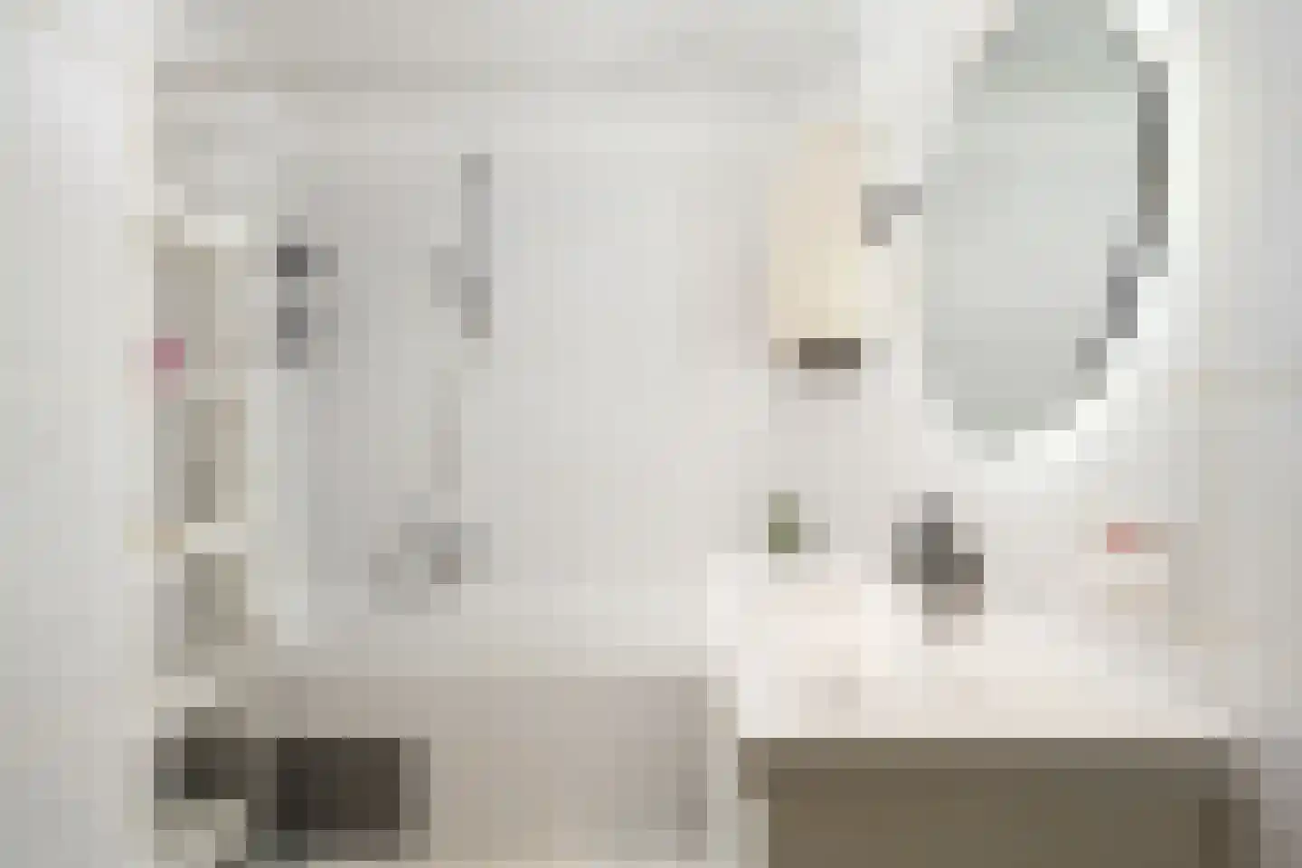 Brahmsstraat 121 Capelle aan den IJssel thumbnail 18