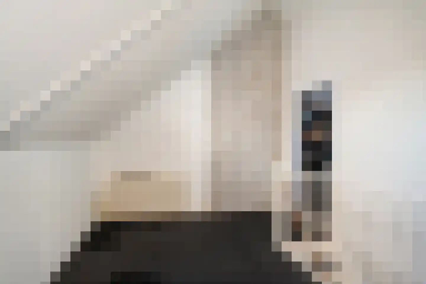 Brahmsstraat 121 Capelle aan den IJssel thumbnail 22
