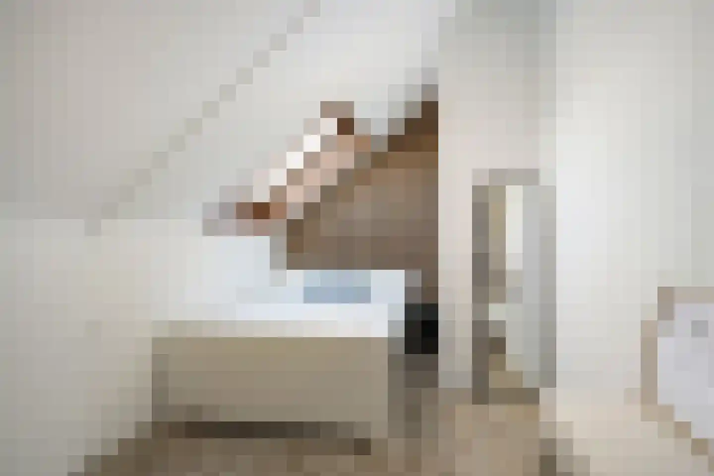Brahmsstraat 121 Capelle aan den IJssel thumbnail 25