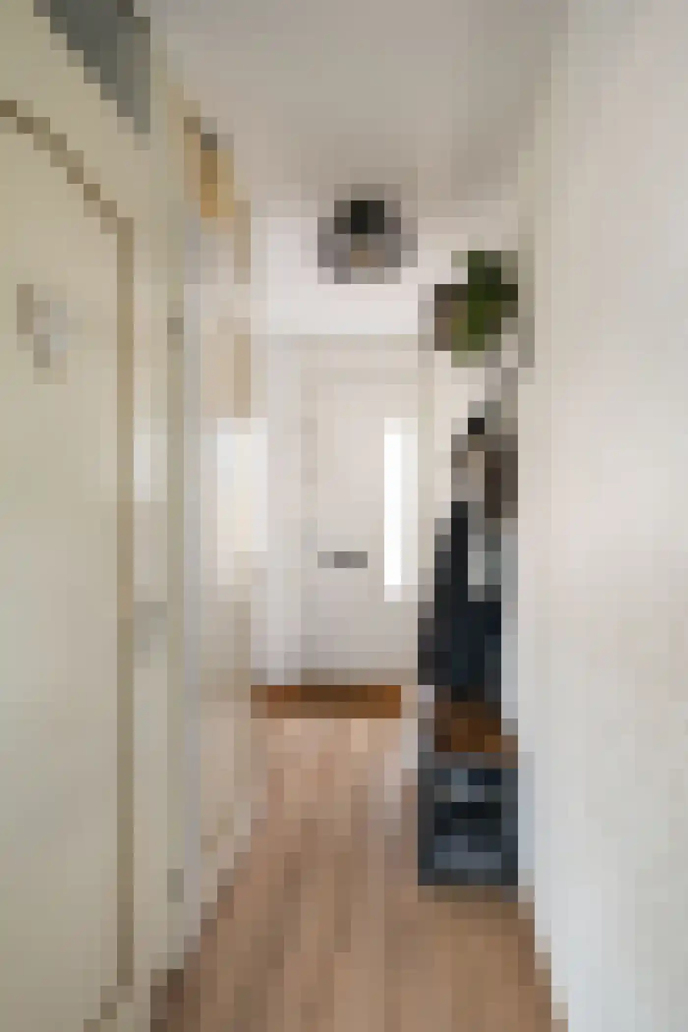 Brahmsstraat 121 Capelle aan den IJssel thumbnail 30
