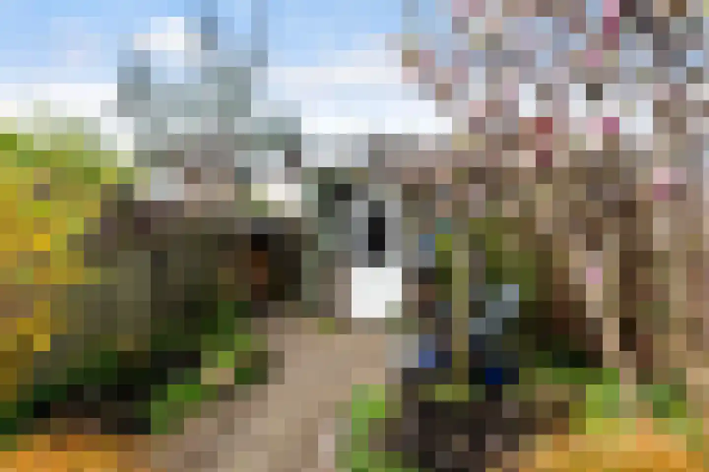 Brahmsstraat 129 Capelle aan den IJssel thumbnail 11