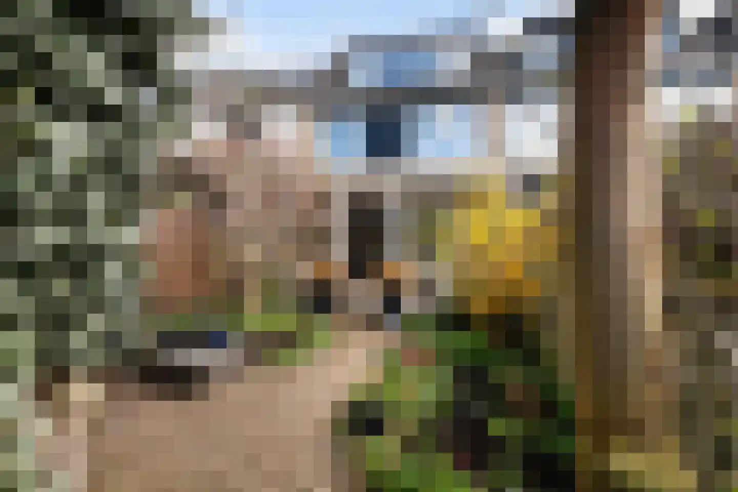 Brahmsstraat 129 Capelle aan den IJssel thumbnail 12