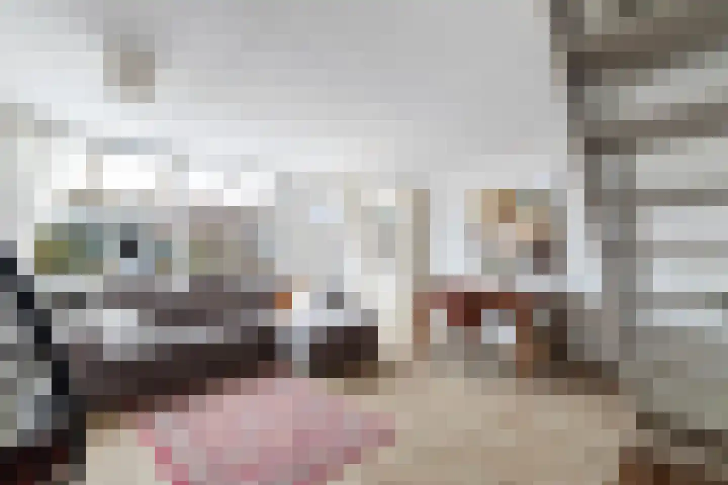 Brahmsstraat 129 Capelle aan den IJssel thumbnail 13