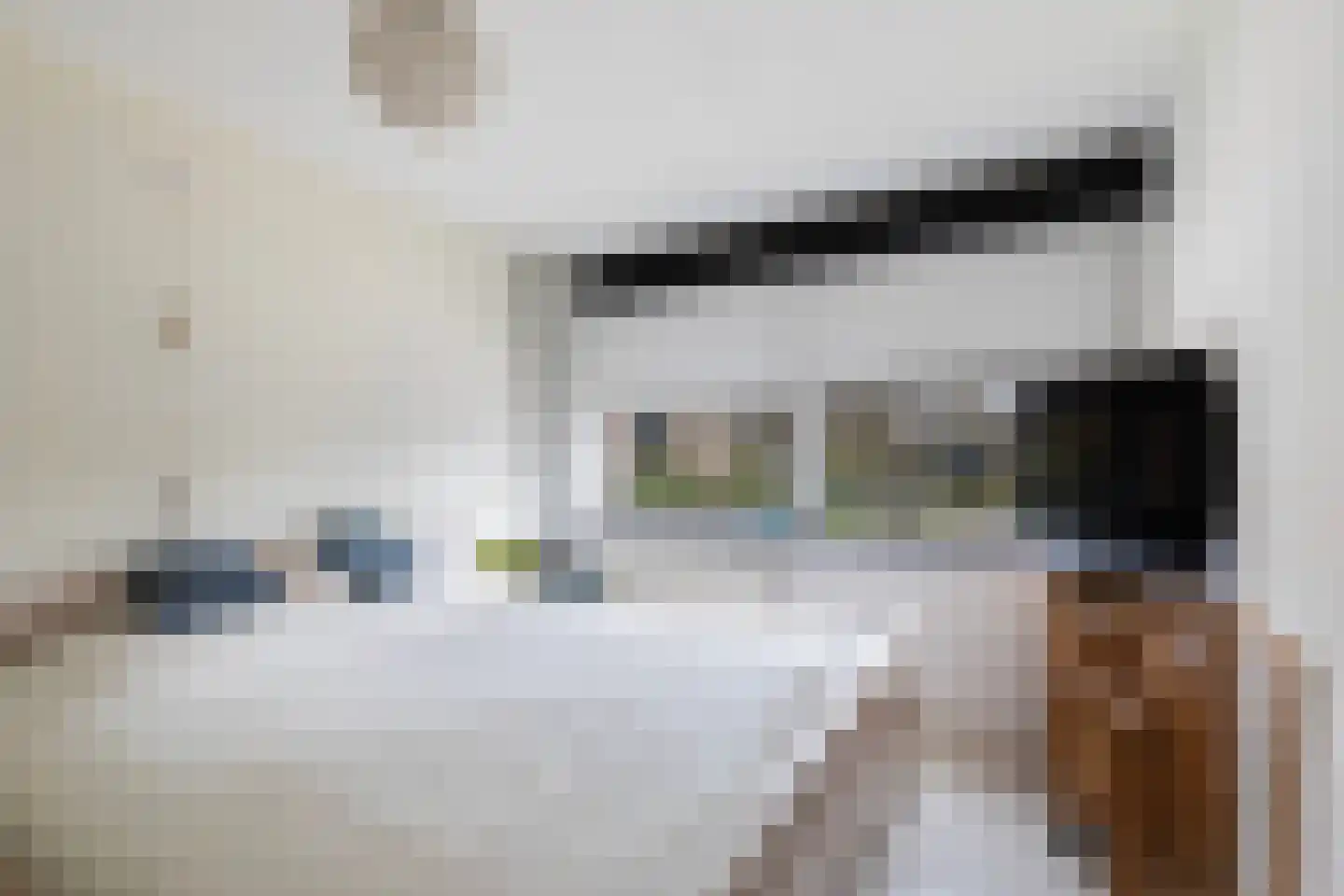 Brahmsstraat 129 Capelle aan den IJssel thumbnail 31