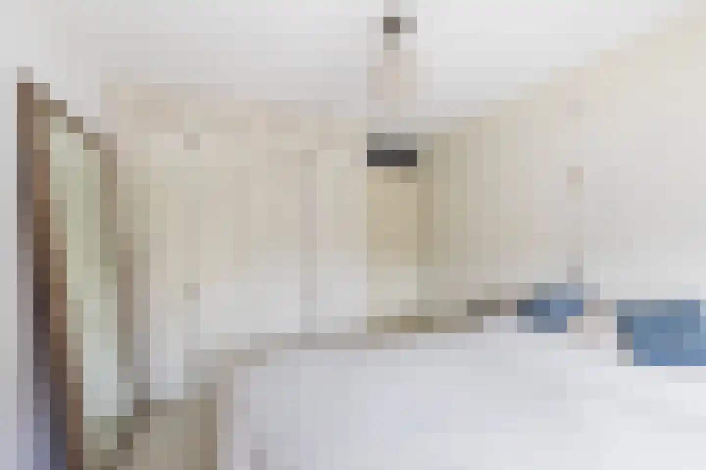 Brahmsstraat 129 Capelle aan den IJssel thumbnail 32