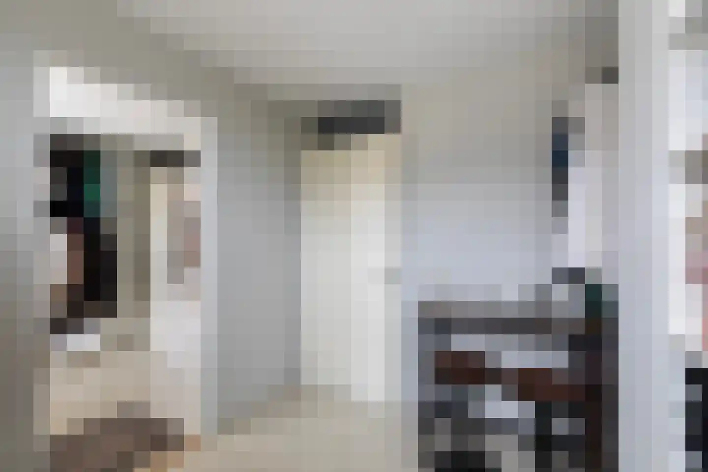 Brahmsstraat 129 Capelle aan den IJssel thumbnail 37