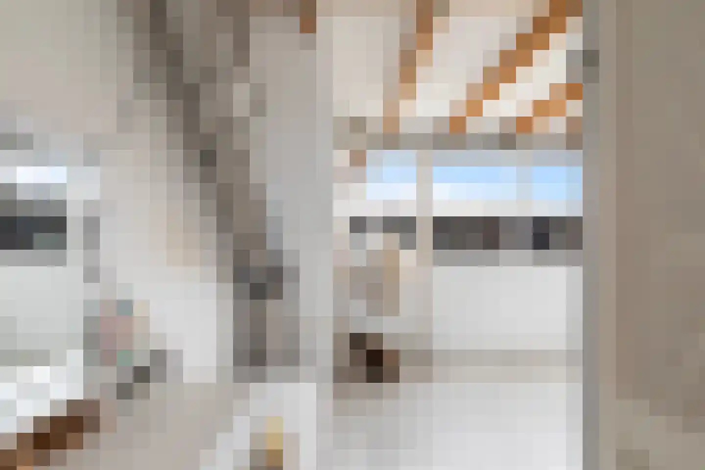 Brahmsstraat 129 Capelle aan den IJssel thumbnail 43