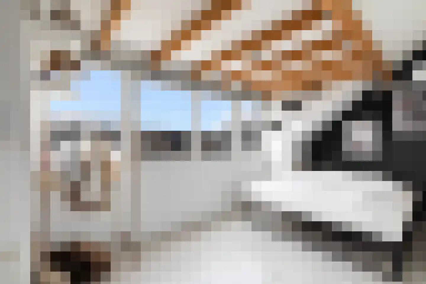 Brahmsstraat 129 Capelle aan den IJssel thumbnail 44