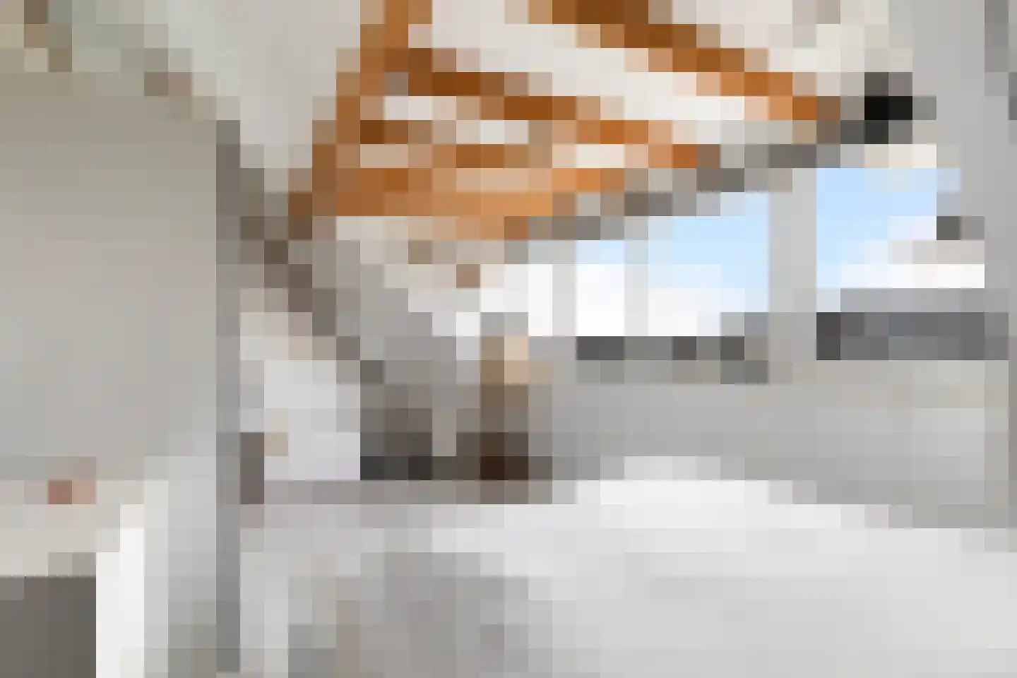Brahmsstraat 129 Capelle aan den IJssel thumbnail 46