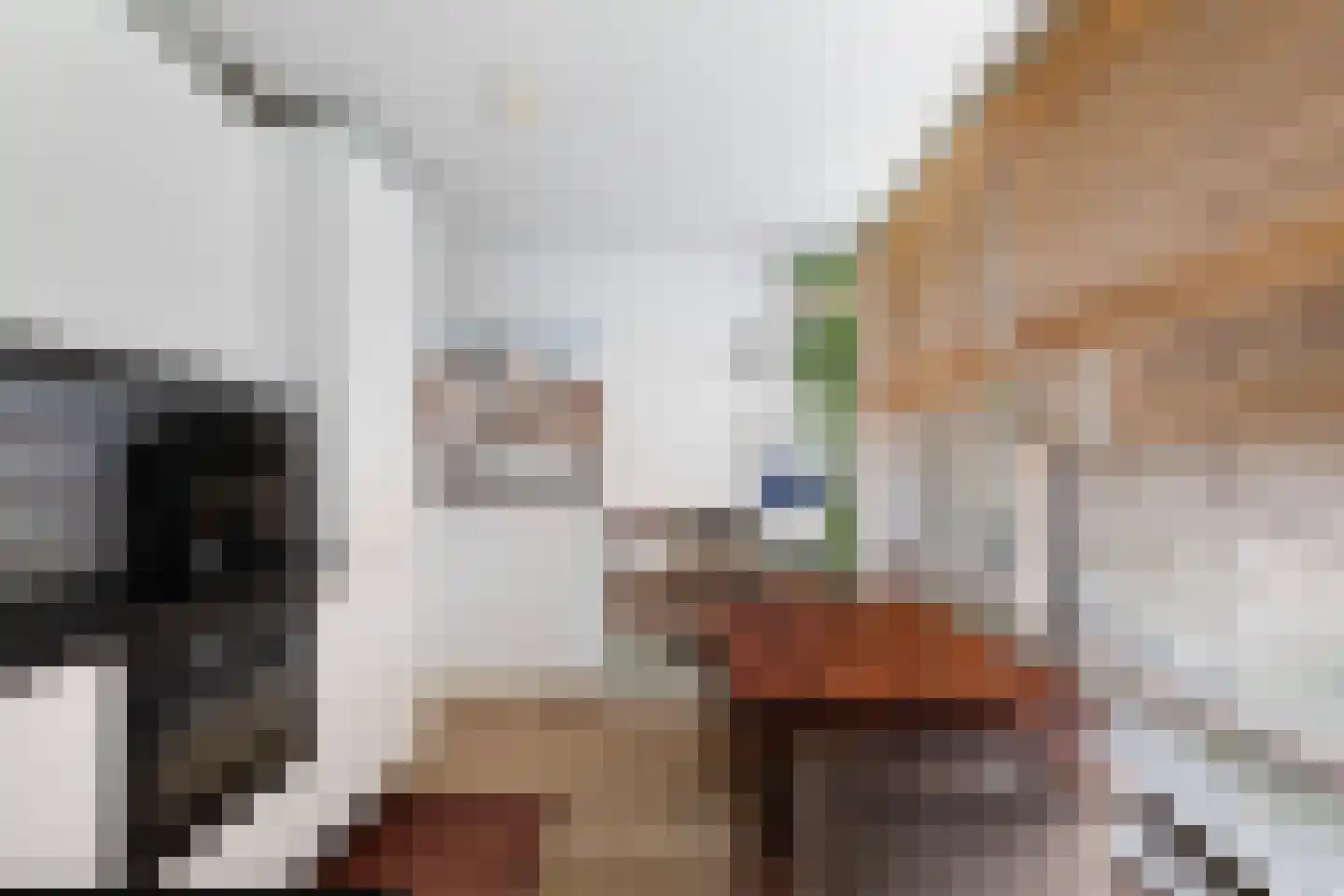 Brahmsstraat 129 Capelle aan den IJssel thumbnail 6