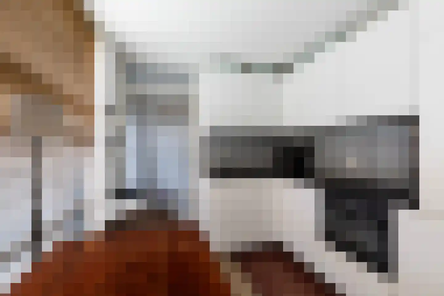 Brahmsstraat 129 Capelle aan den IJssel thumbnail 8