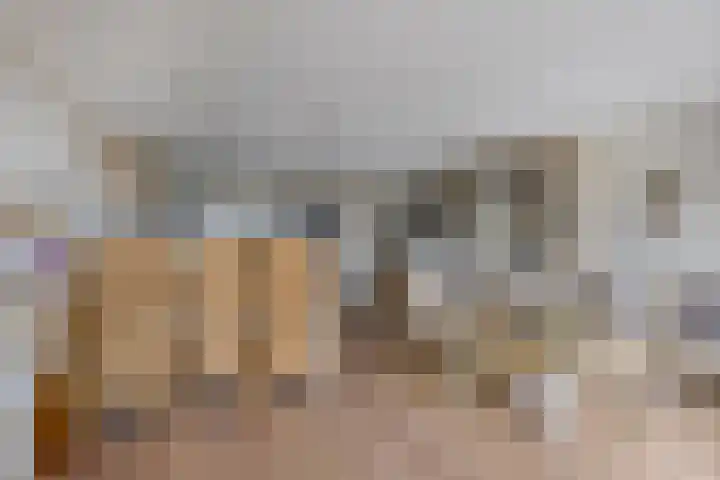 Brahmsstraat 134 Capelle aan den IJssel thumbnail 10