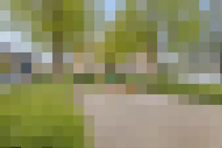 Brahmsstraat 134 Capelle aan den IJssel thumbnail 24