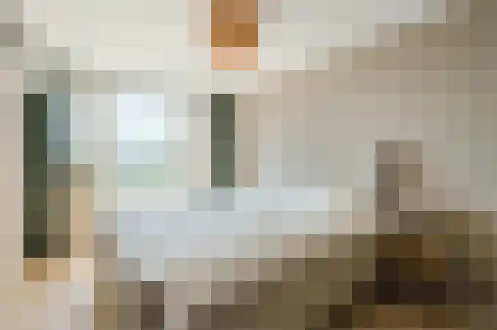 Brahmsstraat 144 Capelle aan den IJssel thumbnail 16