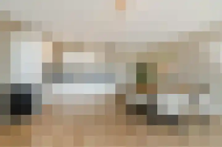 Brahmsstraat 144 Capelle aan den IJssel thumbnail 8