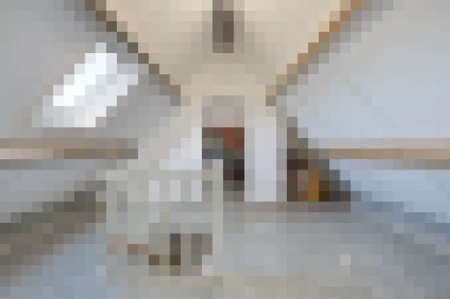 Brahmsstraat 15 Schijndel thumbnail 36