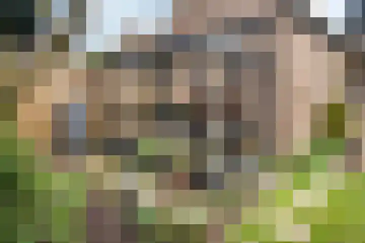 Brahmsstraat 15 Schijndel thumbnail 41