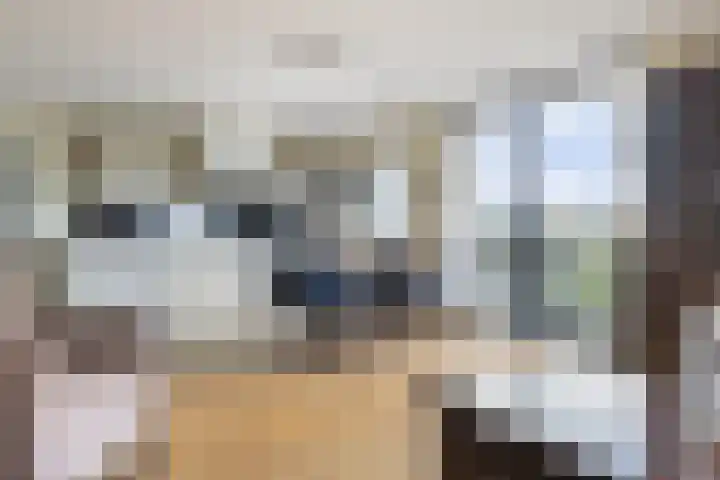 Brahmsstraat 156 Capelle aan den IJssel thumbnail 14