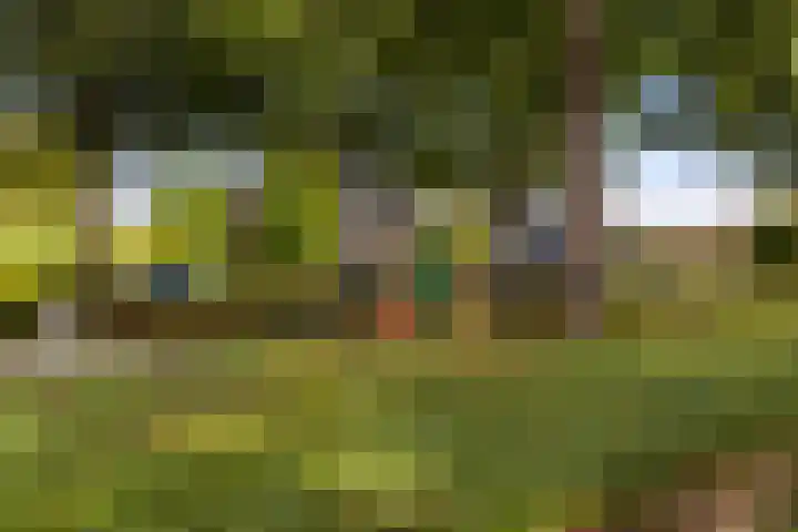 Brahmsstraat 156 Capelle aan den IJssel thumbnail 30