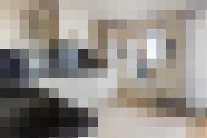Brahmsstraat 156 Capelle aan den IJssel thumbnail 7