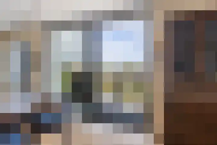 Brahmsstraat 156 Capelle aan den IJssel thumbnail 8
