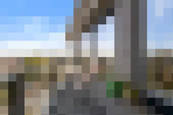 Brahmsstraat 156 Capelle aan den IJssel thumbnail 9