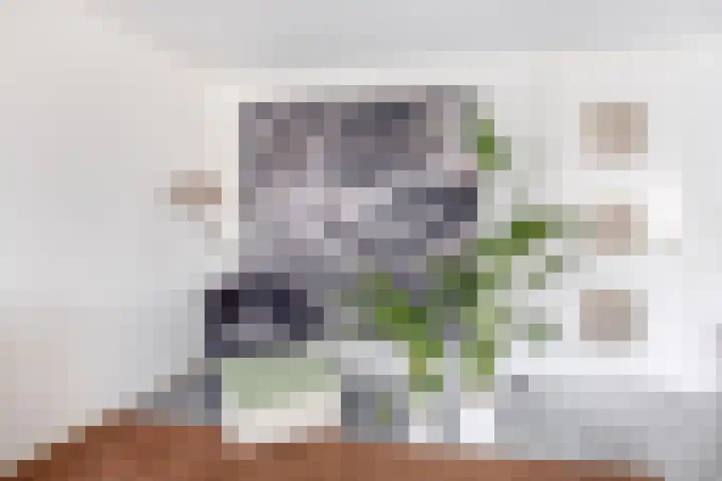 Brahmsstraat 164 Capelle aan den IJssel thumbnail 14