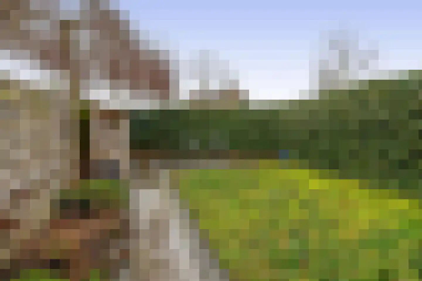 Brahmsstraat 164 Capelle aan den IJssel thumbnail 19
