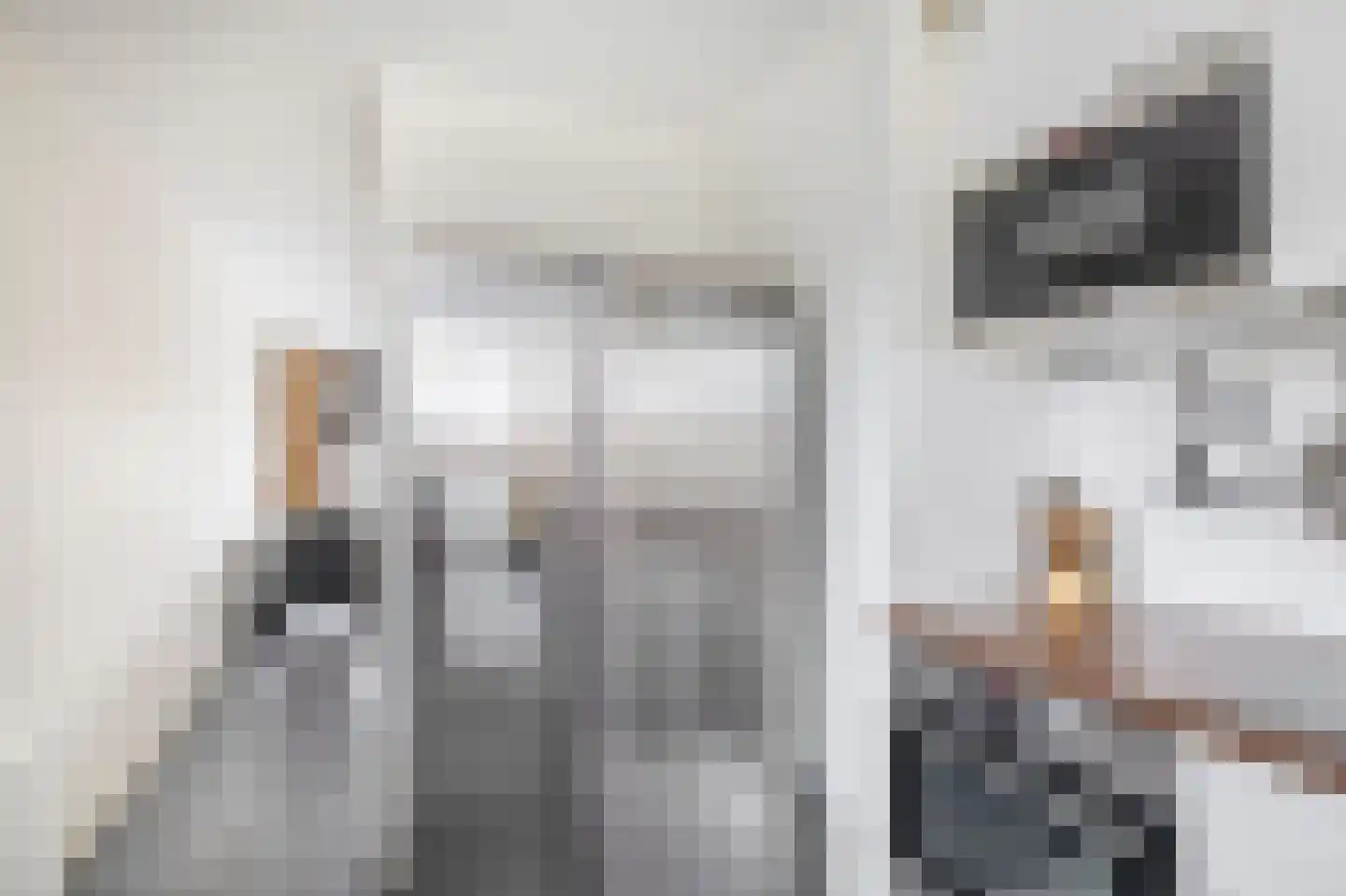 Brahmsstraat 164 Capelle aan den IJssel thumbnail 25