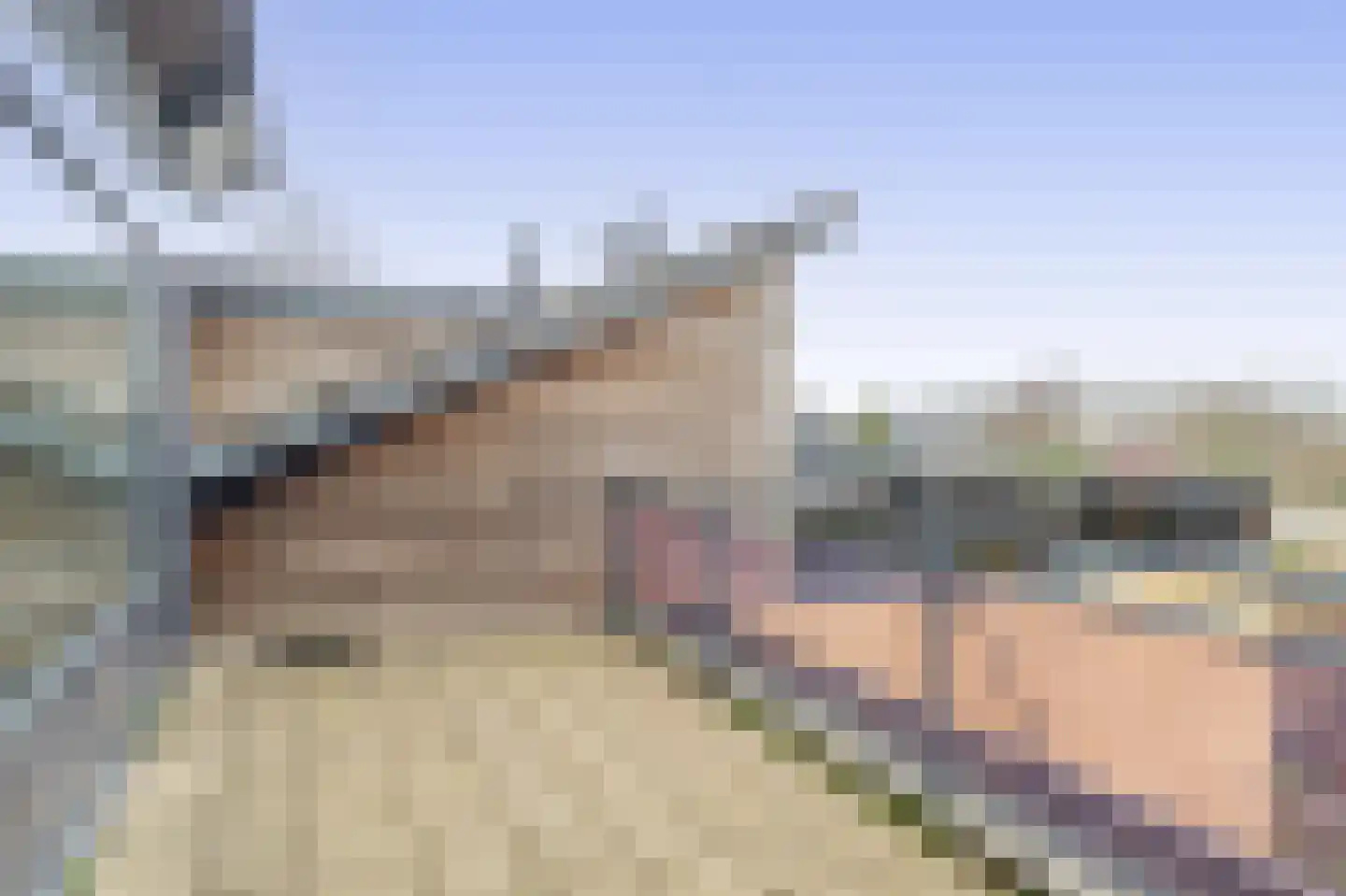 Brahmsstraat 164 Capelle aan den IJssel thumbnail 42