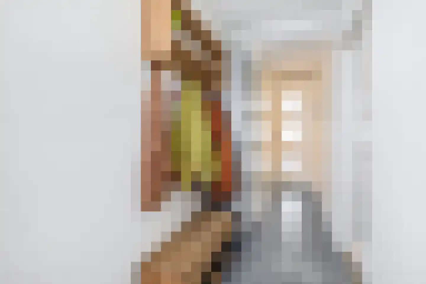 Brahmsstraat 164 Capelle aan den IJssel thumbnail 8