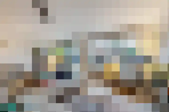 Brahmsstraat 170 Capelle aan den IJssel thumbnail 10