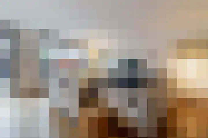 Brahmsstraat 170 Capelle aan den IJssel thumbnail 13