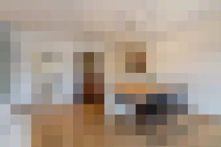 Brahmsstraat 170 Capelle aan den IJssel thumbnail 18