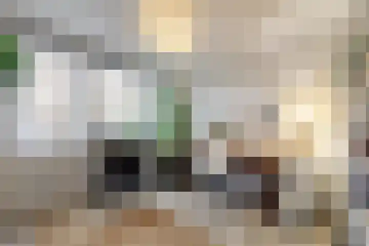 Brahmsstraat 170 Capelle aan den IJssel thumbnail 28