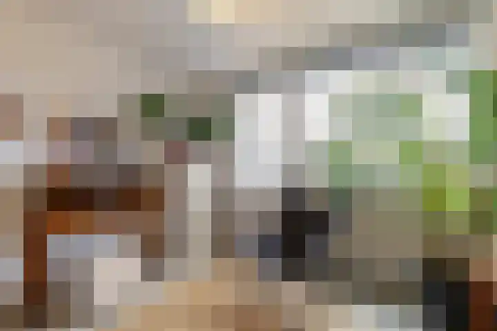 Brahmsstraat 170 Capelle aan den IJssel thumbnail 30
