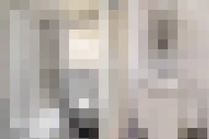 Brahmsstraat 170 Capelle aan den IJssel thumbnail 32