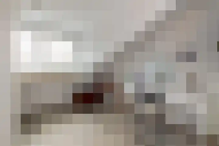 Brahmsstraat 170 Capelle aan den IJssel thumbnail 34