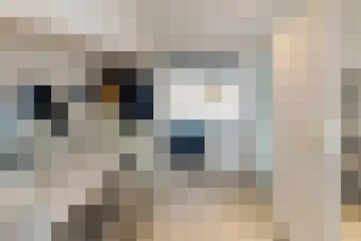 Brahmsstraat 170 Capelle aan den IJssel thumbnail 35
