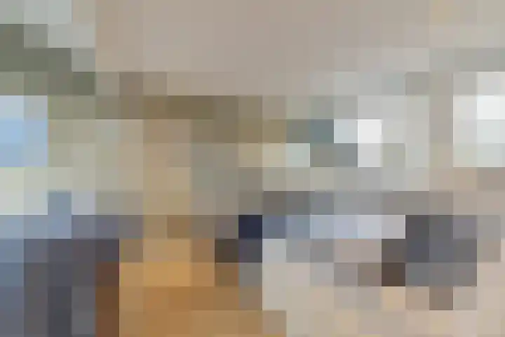 Brahmsstraat 170 Capelle aan den IJssel thumbnail 36