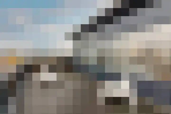 Brahmsstraat 170 Capelle aan den IJssel thumbnail 39